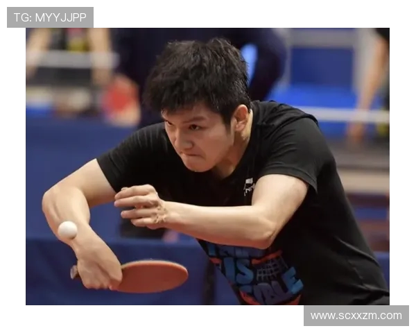 武汉乒乓球队实力深度解析与各队员对比分析